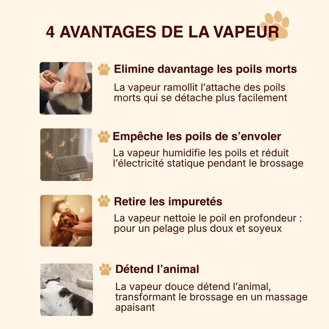 Brosse vapeur anti-poils