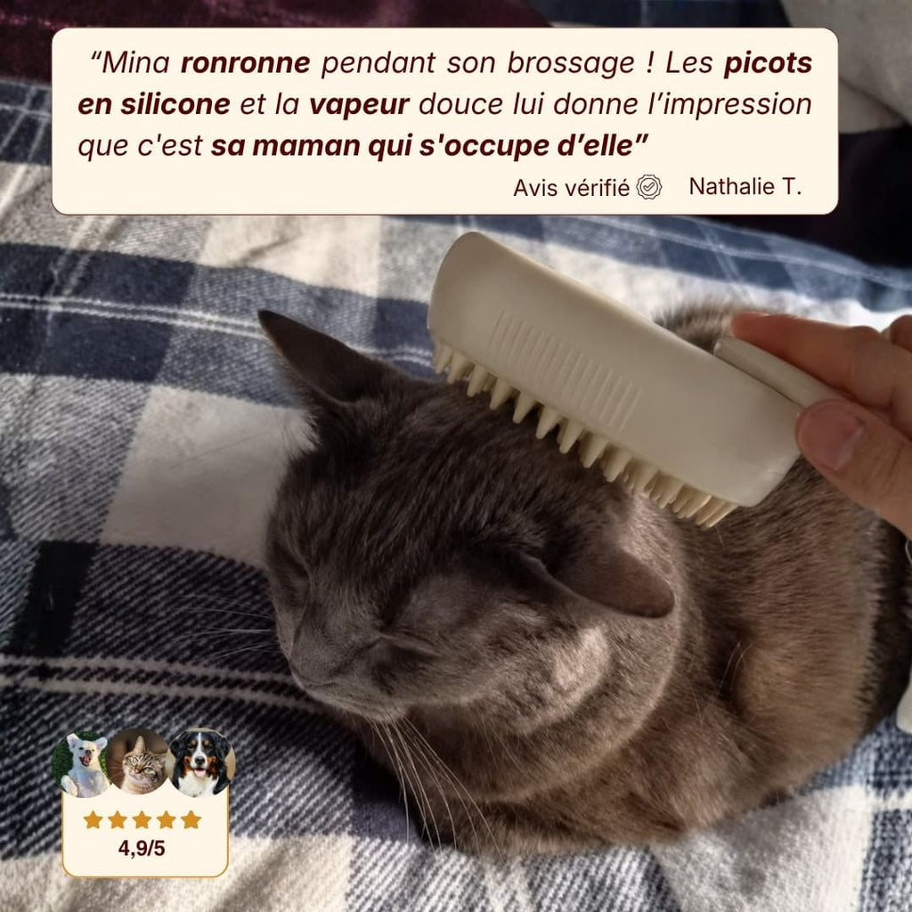 Brosse vapeur anti-poils