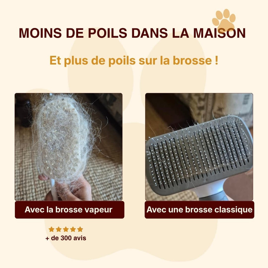 Brosse vapeur anti-poils