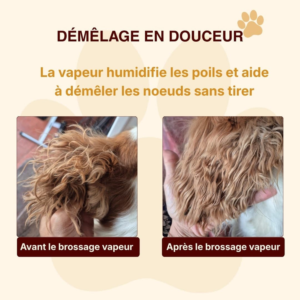 Brosse vapeur anti-poils