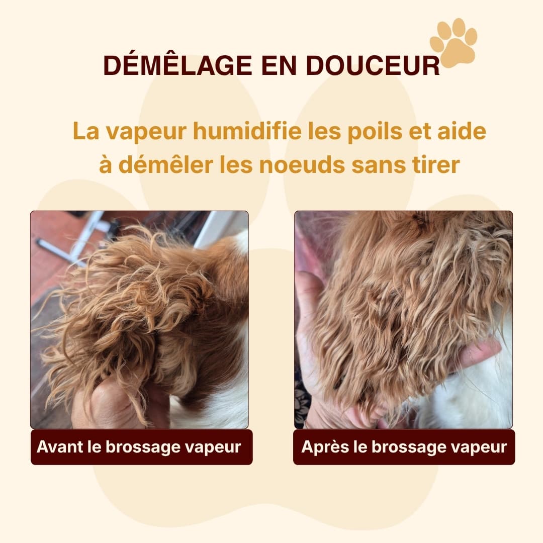 Brosse vapeur anti-poils