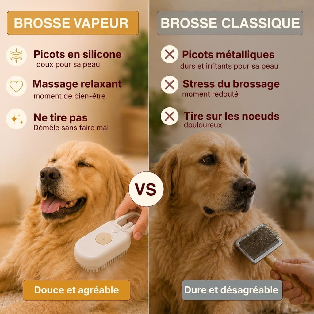 Brosse vapeur anti-poils