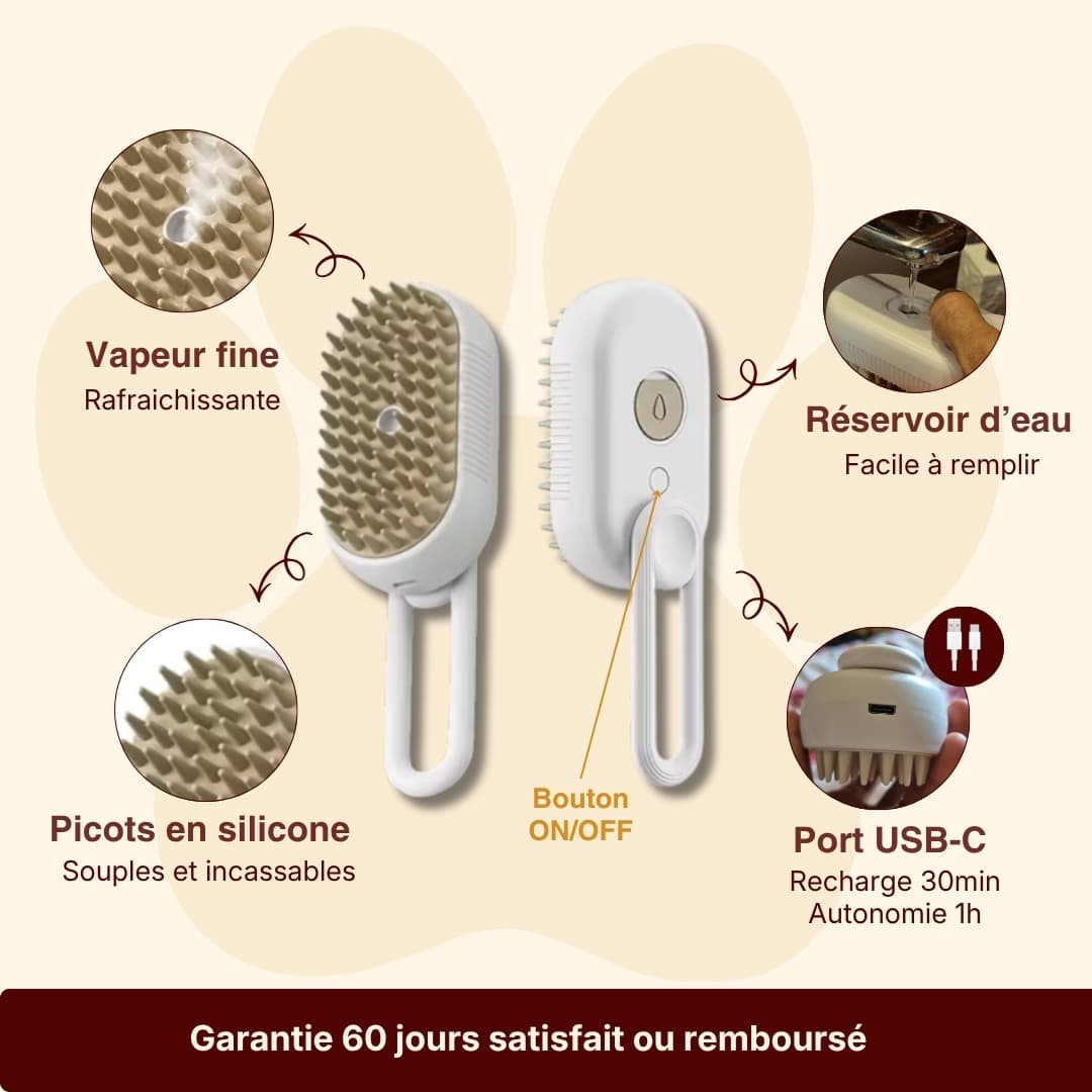 Brosse vapeur anti-poils