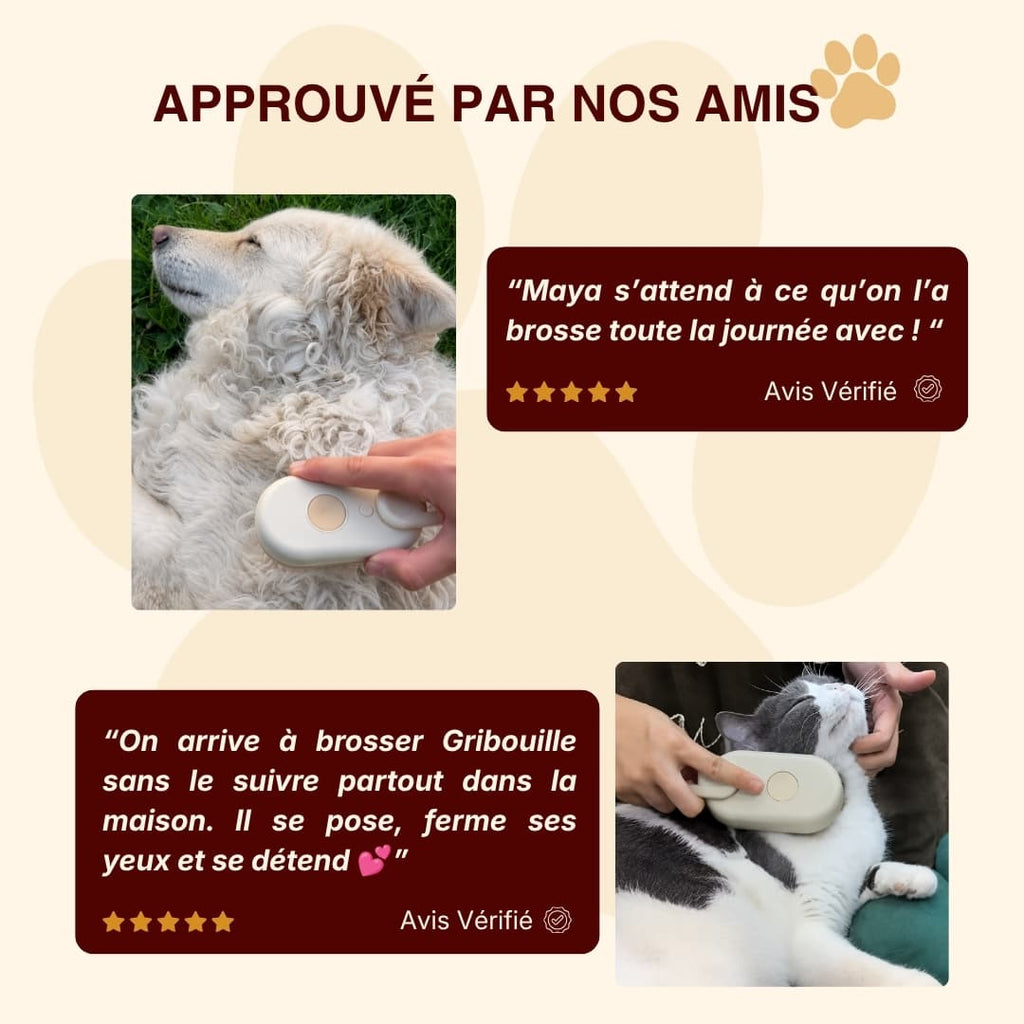 Brosse vapeur anti-poils