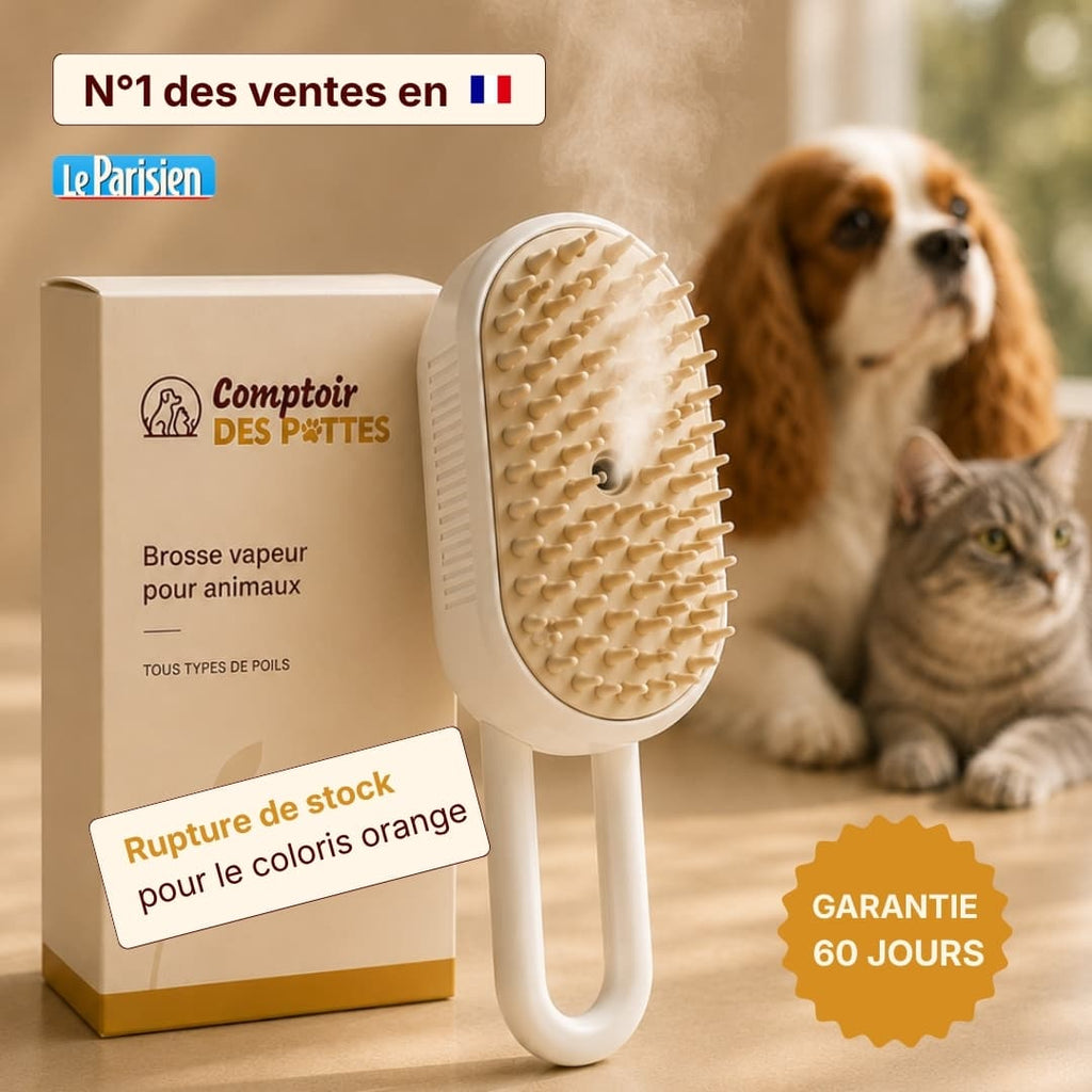Brosse vapeur anti-poils